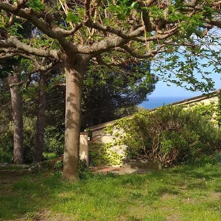 Les Terrasses Du Maquis * Nonza