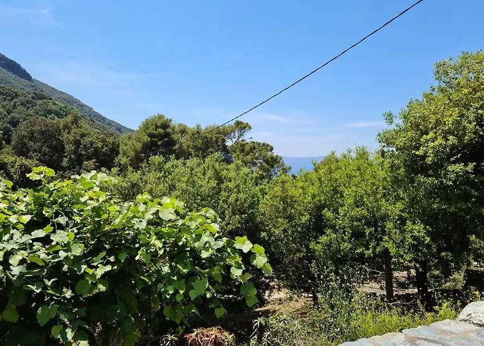Les Terrasses Du Maquis