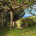 Les Terrasses Du Maquis * Nonza