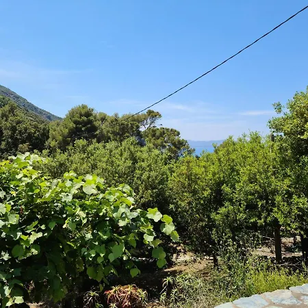 Les Terrasses Du Maquis
