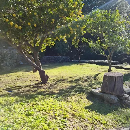 Hébergement de vacances L'elementariu Nonza