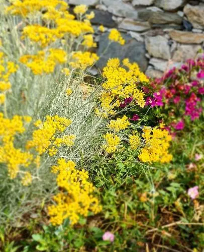 Les Terrasses Du Maquis Hébergement de vacances *