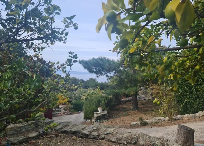 Les Terrasses Du Maquis Hébergement de vacances