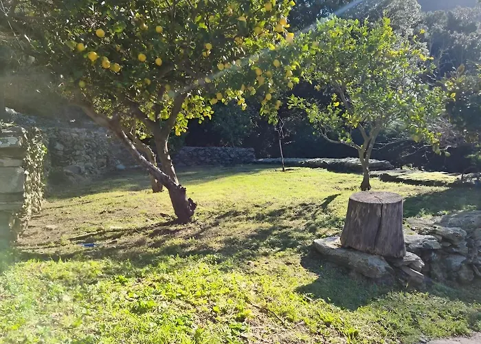 Hébergement de vacances Les Terrasses Du Maquis Nonza