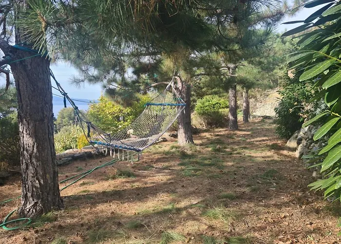 Les Terrasses Du Maquis